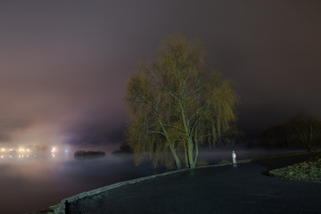Night autumn landscape with a tree on a background of fog near the river