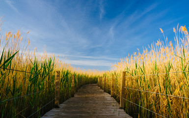 Obraz premium Reed Lake sunrise