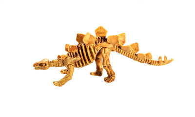 plastic toy bone of stegosaurus isolate on white background with clipping paths © sarayutoat