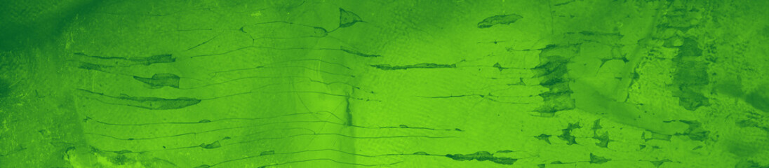 abstract green bright color background for design