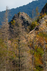 The Chimney Tops. The Great Smoky Mountains