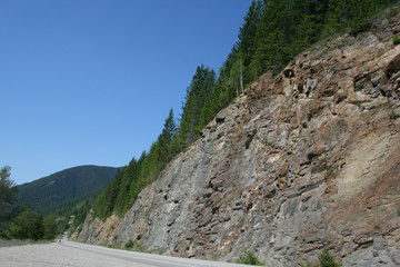 rocky mountain cliff with trees