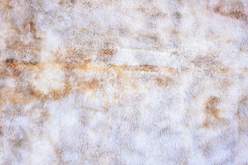 Carpet texture