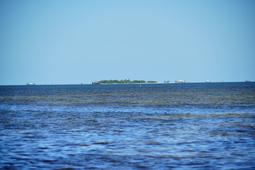 Florida palm harbor beach landscape