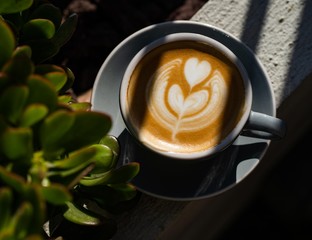 Romantic Latte Art by professional barista 