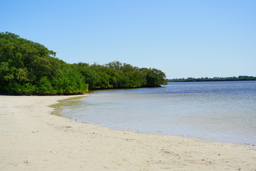 Florida palm harbor beach landscape