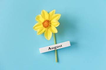 Wooden calendar summer month of August and yellow flower on blue background. Copy space. Minimal style. Template for greeting card, text, design. Hello August concept