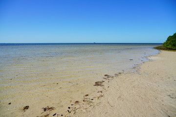 Florida palm harbor beach landscape