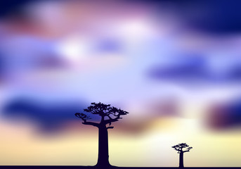 Africa, Sunset, The Baobab Trees © lisheng2121