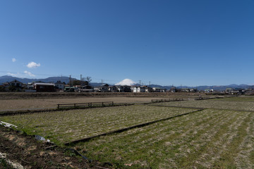 Mt.Fuji in winter over the rice field