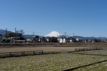 Fototapeta premium Mt.Fuji in winter over the rice field