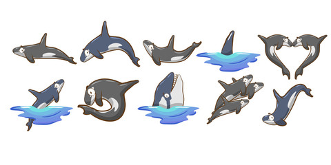orca vector set collection graphic clipart design