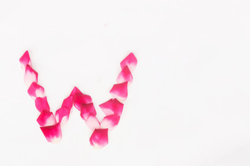 Rose petal letter W Background image, Rose Petal letters, alphabet, characters create using rose petal on white background