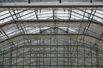 ceiling of modern building