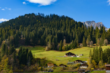 Traditional Swiss style houses on the green hills with forest in the Alps area of Switzerland, Europe