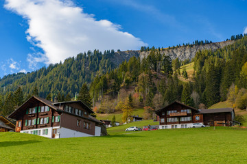 Fototapeta na wymiar Traditional Swiss style houses on the green hills with forest in the Alps area of Switzerland, Europe