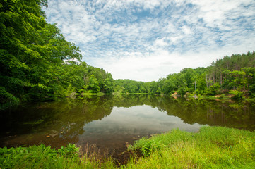 Fototapeta premium river in the forest - Nashville, Indiana - Brown County State Park - Ogle Lake