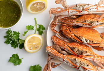 Cooked Steamed blue crab on white plate food concept background, top view.