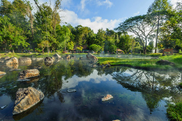 Fototapeta na wymiar Sky tree environment hot spring at Jaeson National Park in Lampang, Thailand