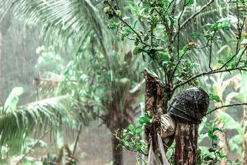 blurry abstract background view of green leaves that grow up the streets or in the park, for a refreshing view during the day