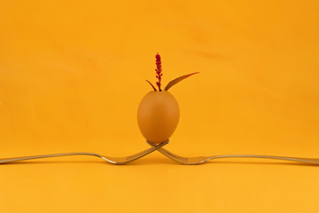 New Life