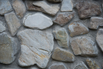 Variety of backgrounds such as stones, wood, concrete or pavement.