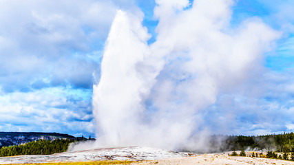 Eruption of the famous Old Faithful Geyser a Cone Geyser in the Upper Geyser Basin along the Continental Divide Trail in Yellowstone National Park, Wyoming, United States