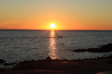 sonora