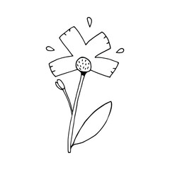 Simple hand drawn flower. Vector illustration. Spring, summer, nature.
