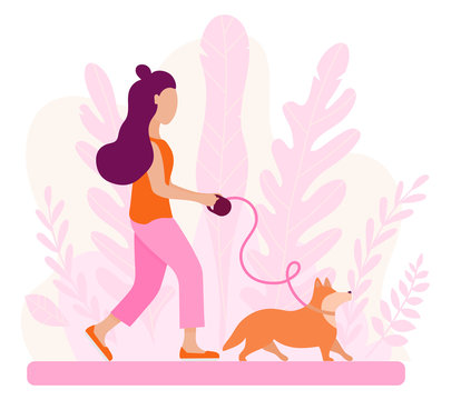Vector abstract pink background and girl walking with dog corgi. Spring illustration for creating a romantic mood. Illustration of articles for pet owner, pet stores, dogsitter