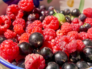 Raspberry -strawberry- currant - gooseberry mix. Future jam.
