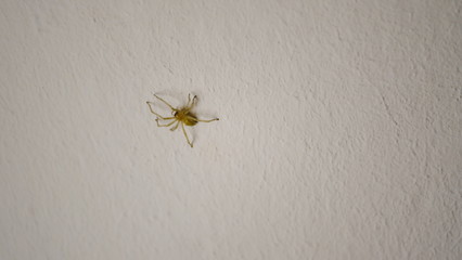 
The surface of the wall of the building. Blurred defocused background for web design.