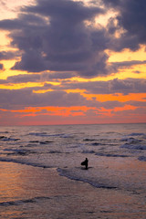 夕方の海とサーファー