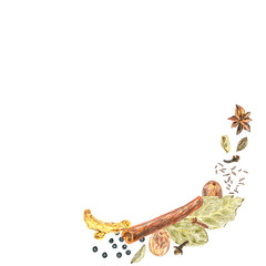 Fototapeta premium Frame and background with spices on a white background. Drawing with colored pencils.