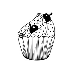 Hand drawn cupcake with a cherry and mint isolated on a white background. Doodle, simple outline illustration. It can be used for decoration of textile, paper.