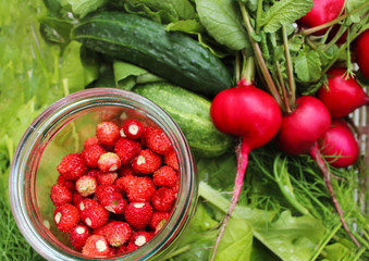 Fresh natural organic products - vegetables, herbs, berries, top view. cucumbers, radishes, dill, lettuce and strawberries in a glass jar. Colorful berries and vegetables. Healthy vegan food.