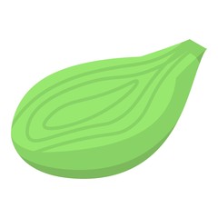 Green leaf fruit icon. Isometric of green leaf fruit vector icon for web design isolated on white background