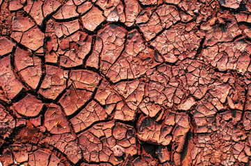 Cracked dry earth. Drought. Dried up puddle. Red. Like Mars. Terrellita soil. Red soil.