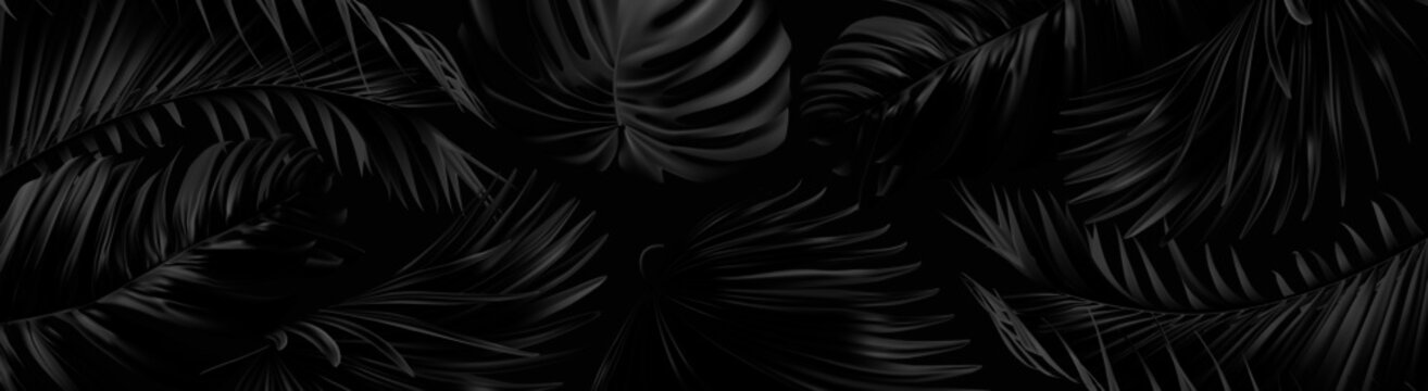 Vector horizontal banner with silver and black tropical leaves on dark background. Best as web banner 