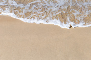 White wave on empty clean sand beach, nature concept background, summer outdoor day light