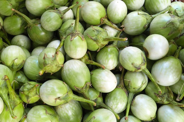 Group of green thai eggplants pure and fresh.Thai eggplants background. Put up for sale in the market.selective focus.