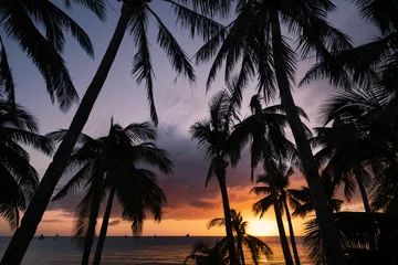 Photo sur Plexiglas Plage blanche de Boracay (Mise au point sélective) Vue imprenable sur un coucher de soleil spectaculaire en arrière-plan et la silhouette des cocotiers au premier plan. Plage blanche, île de Boracay, Philippines.