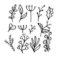 Floral doodle Vector illustration 