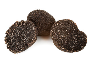 Tuber melanosporum in studio