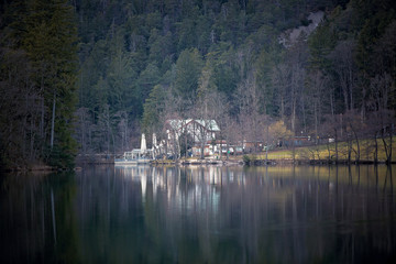 Fototapeta premium Little shrub on a lake, trees and mountains, reflection in water