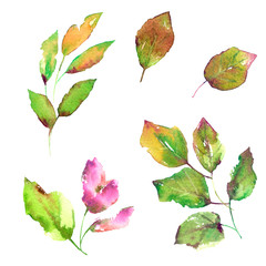 Drawing spring leaves. Isolated green leaves and pink flowers set. Watercolor leaves for card decor. Nature decorative elements. Natural biology elements. 