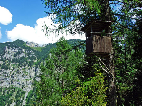 Hunting blind on the edge of the forest in the Samina alpine valley (Rheintal) and in the Liechtenstein Alps - Steg, Liechtenstein