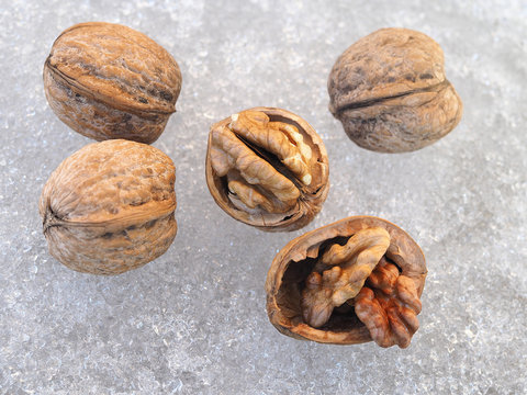 Isolated natural walnuts kernel on a light icy background closeup. Useful fruit nuts for proper and vegetarian nutrition.