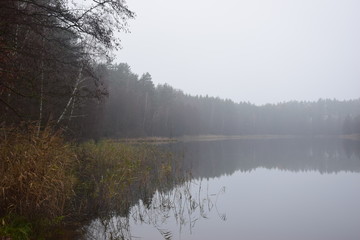 mgła jezioro krajobraz las woda