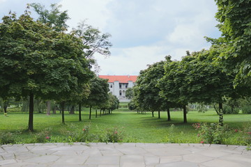 park pałac aleja drzew